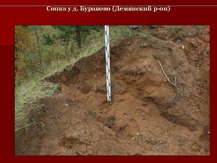 Сопка у д. Бураково (Демянский р-он) 