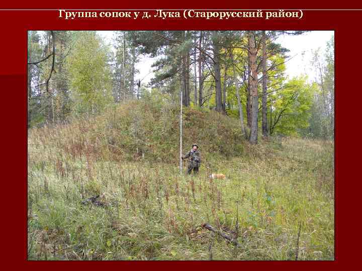 Группа сопок у д. Лука (Старорусский район) 