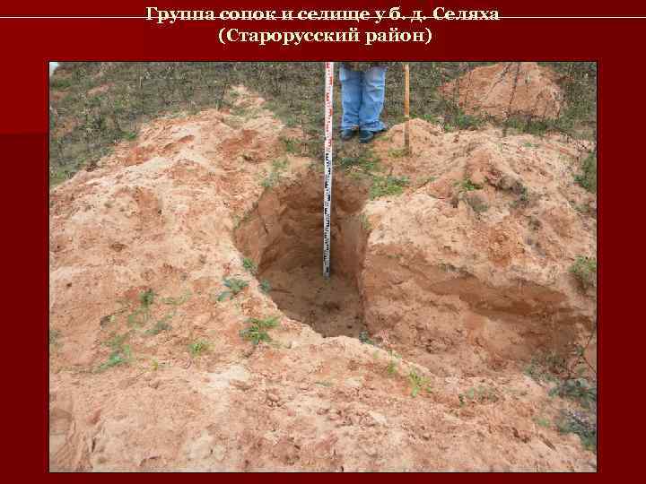 Группа сопок и селище у б. д. Селяха  (Старорусский район) 