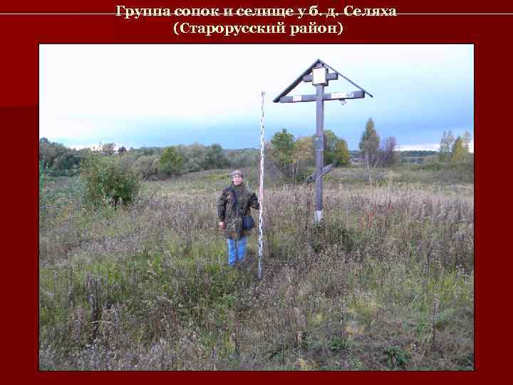 Группа сопок и селище у б. д. Селяха  (Старорусский район) 