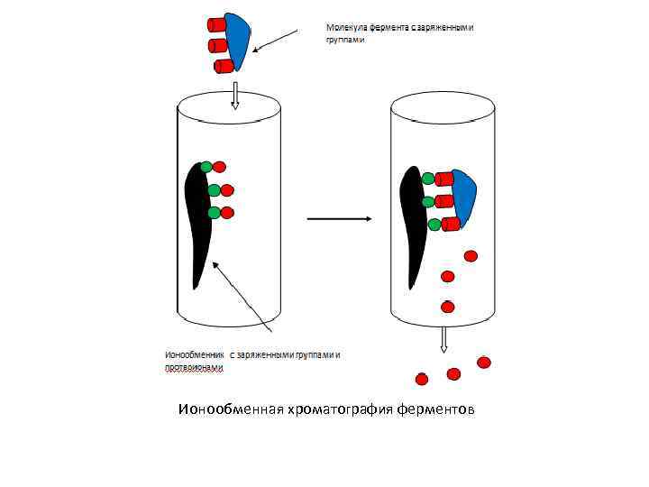 Ионообменная хроматография схема