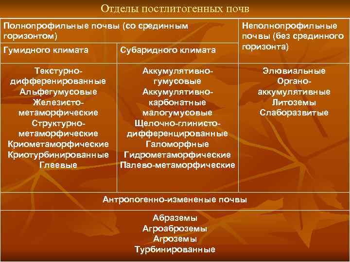     Отделы постлитогенных почв Полнопрофильные почвы (со срединным   Неполнопрофильные
