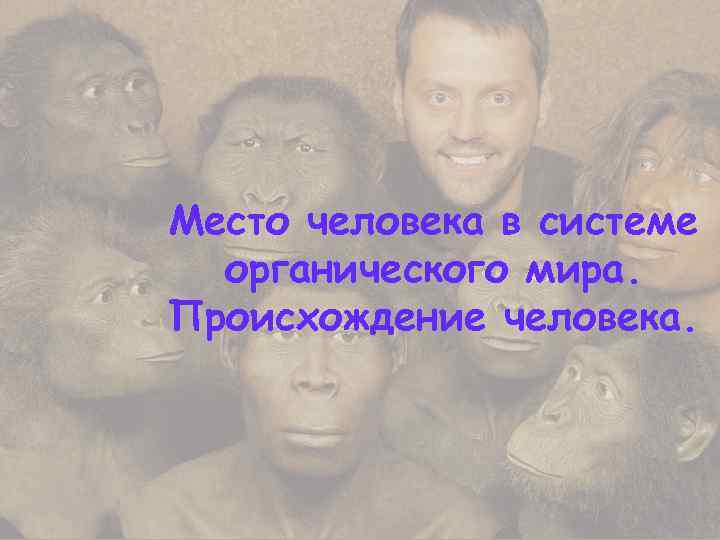 Место человека в системе  органического мира. Происхождение человека. 