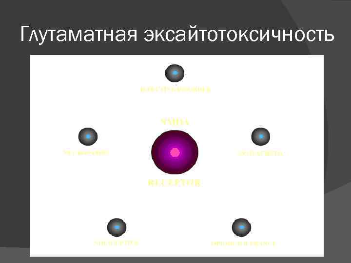 Глутаматная эксайтотоксичность 