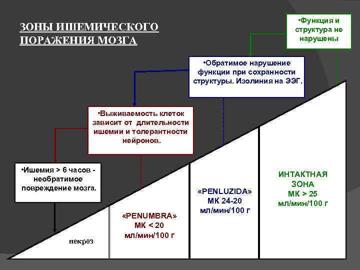        • Функция и ЗОНЫ ИШЕМИЧЕСКОГО  