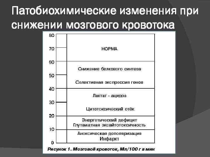 Патобиохимические изменения при снижении мозгового кровотока 