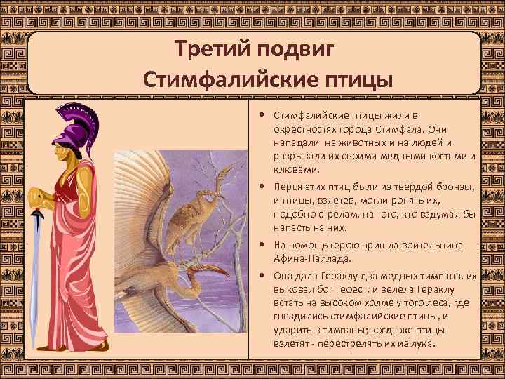   Третий подвиг Стимфалийские птицы жили в  окрестностях города Стимфала. Они 