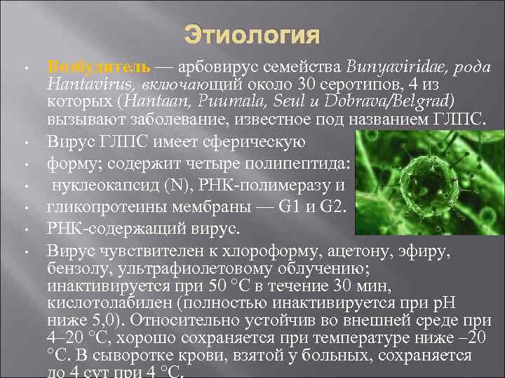Этиология • Возбудитель — арбовирус семейства Bunyaviridae, рода Hantavirus, Этиология • Возбудитель — арбовирус семейства Bunyaviridae, рода Hantavirus,