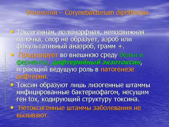  Этиология – Corynebakterium diphtheriae  • Токсигенная, полиморфная, неподвижная палочка, спор не образует,