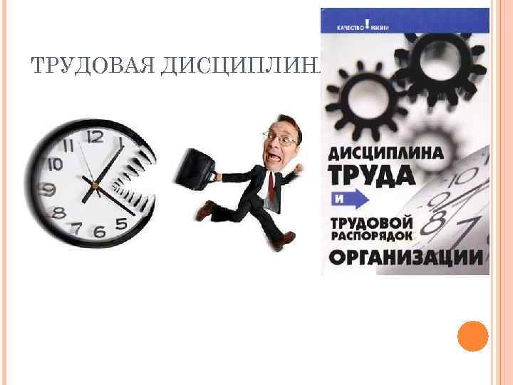 ТРУДОВАЯ ДИСЦИПЛИНА 