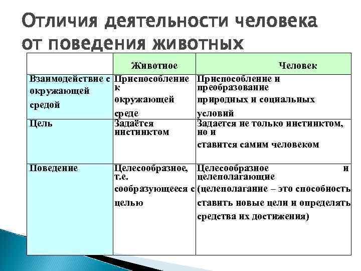 Отличия деятельности человека от поведения животных     Животное   