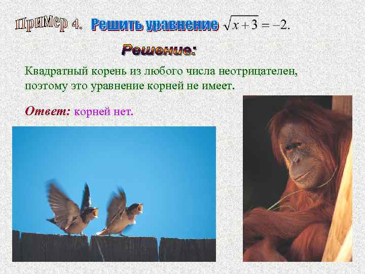 Квадратный корень из любого числа неотрицателен, поэтому это уравнение корней не имеет.  Ответ: