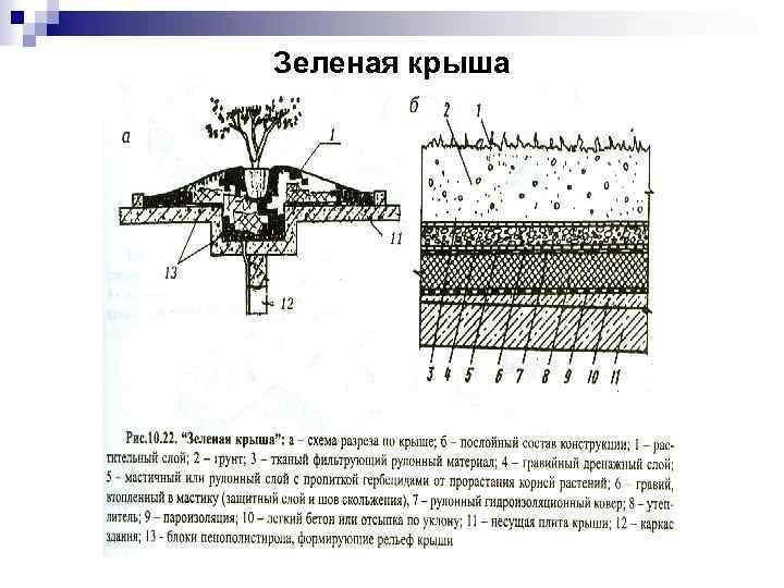 Зеленая крыша 