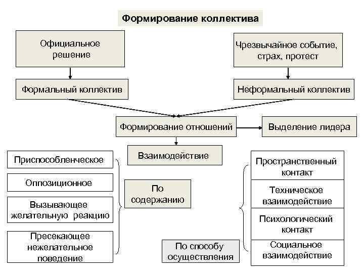     Формирование коллектива  Официальное     