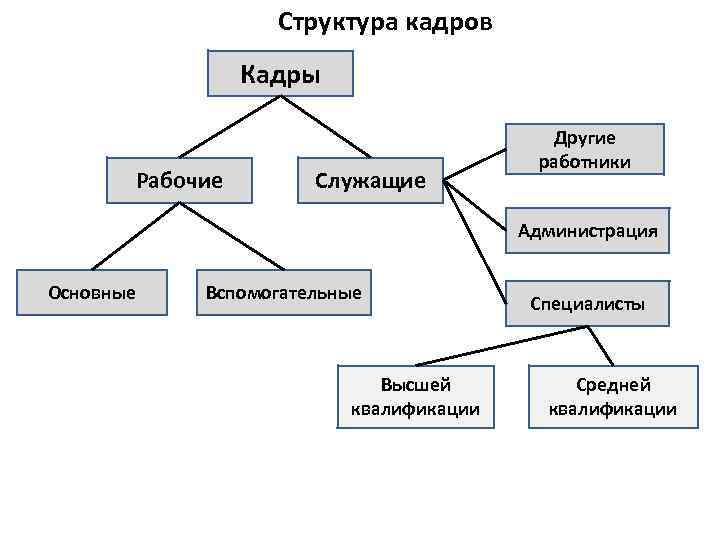 Структура персонала кадров. Кадры предприятия состав и структура. Кадры предприятия структура кадров. Какова структура кадров предприятия?. Состав и структура кадров предприятия схема.