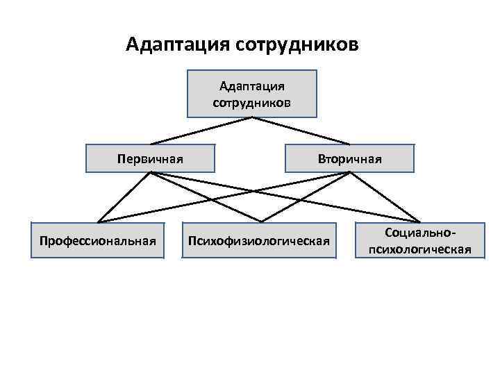 Схема адаптации персонала