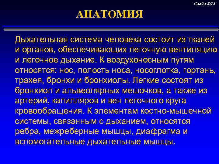      Слайд № 14     АНАТОМИЯ 