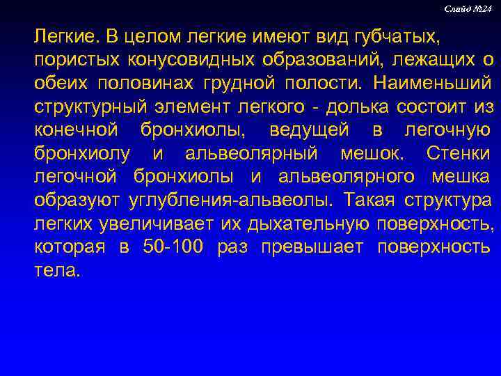     Слайд № 24  Легкие. В целом легкие имеют вид