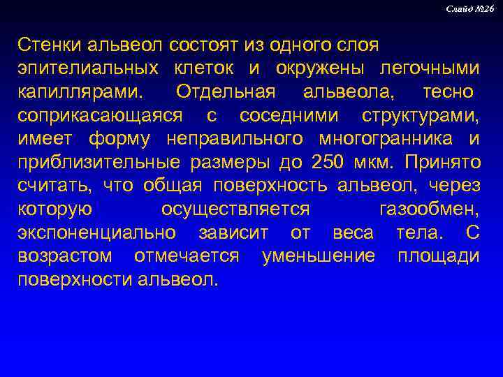     Слайд № 26  Стенки альвеол состоят из одного