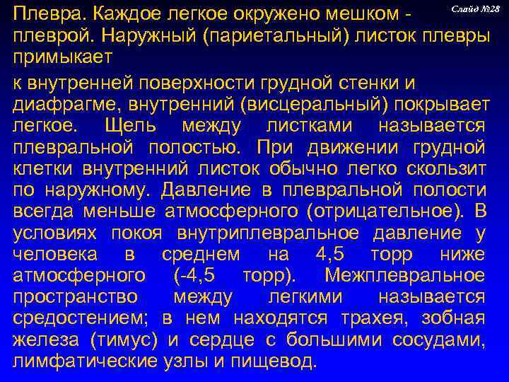 Плевра. Каждое легкое окружено мешком -  Слайд № 28 плеврой. Наружный (париетальный) листок