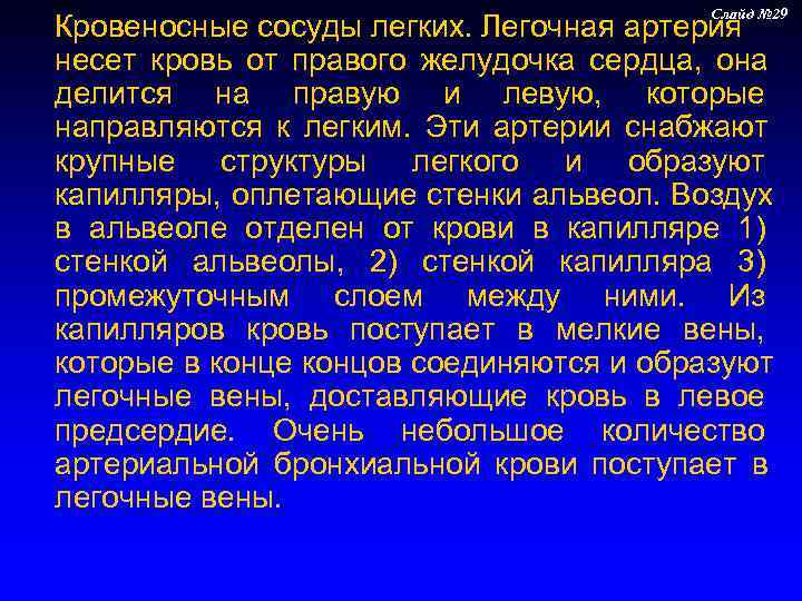      Слайд № 29 Кровеносные сосуды легких. Легочная артерия 