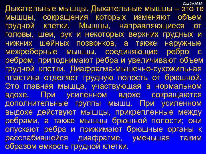     Слайд № 31 Дыхательные мышцы – это те мышцы, 