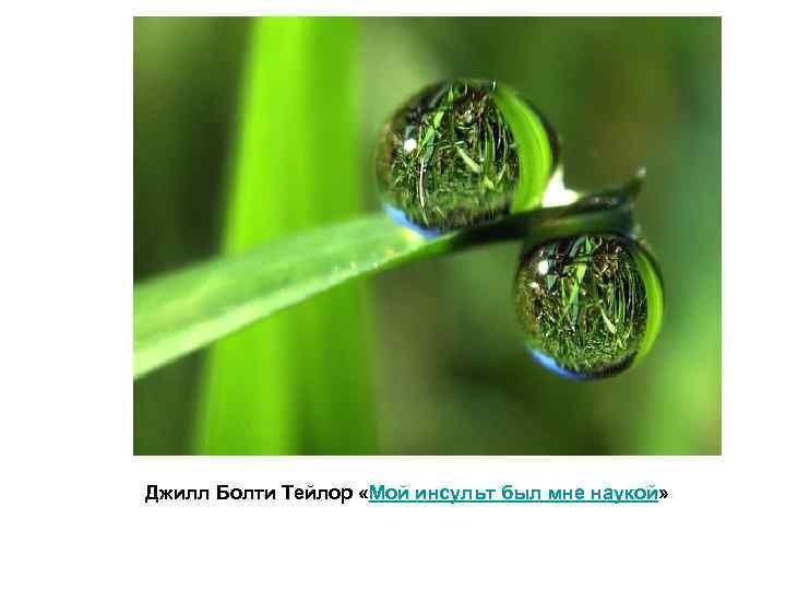 Джилл Болти Тейлор «Мой инсульт был мне наукой» 