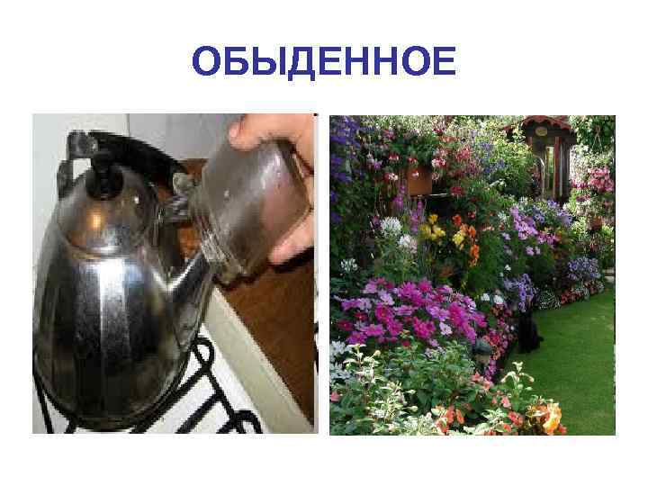 ОБЫДЕННОЕ 