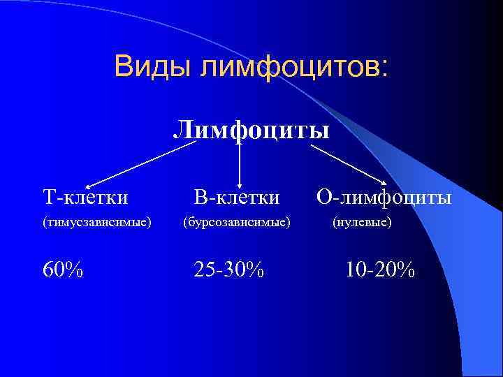 Виды лимфоцитов: Лимфоциты Т-клетки В-клетки Виды лимфоцитов: Лимфоциты Т-клетки В-клетки