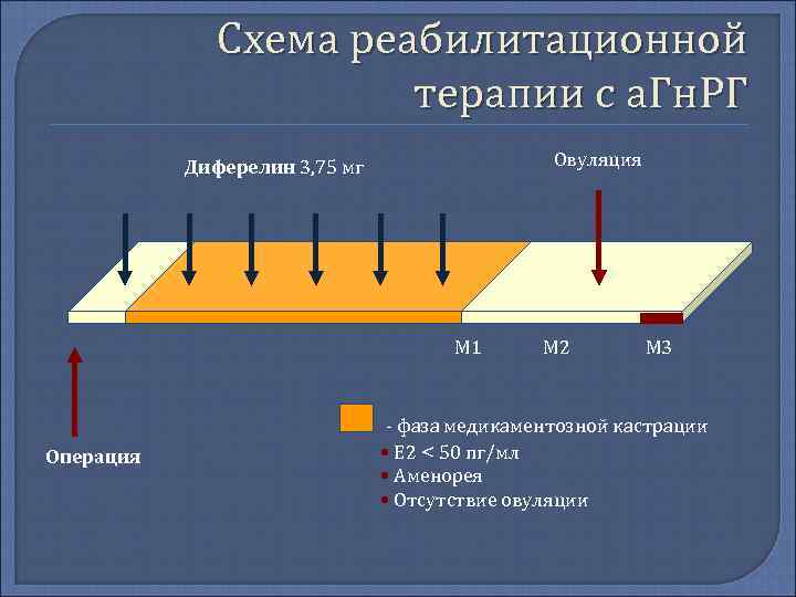    Схема реабилитационной     терапии с а. Гн. РГ
