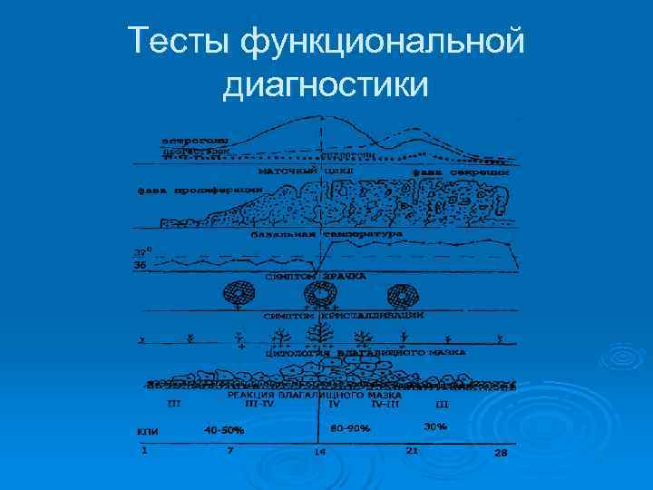 Тесты функциональной диагностики 