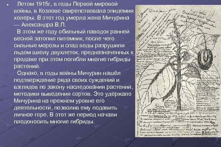  Летом 1915 г, в годы Первой мировой войны, в Козлове свирепствовала эпидемия холеры.