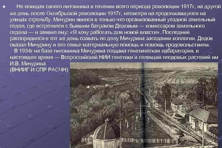   Не покидая своего питомника в течении всего периода революции 1917 г, на