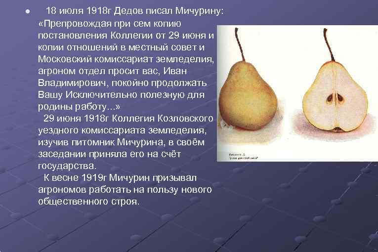  18 июля 1918 г Дедов писал Мичурину:  «Препровождая при сем копию постановления