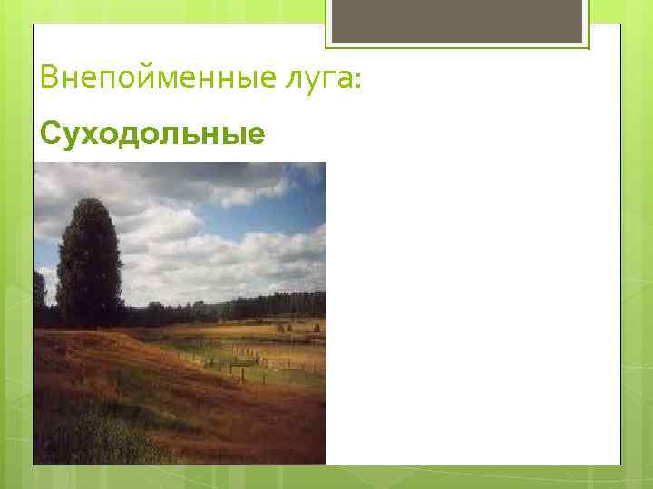 Внепойменные луга: Суходольные 