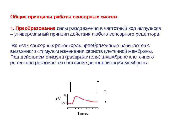 Общие принципы работы анализаторных систем презентация