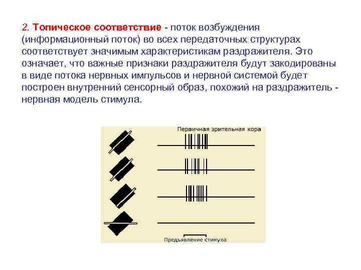 Общие принципы работы анализаторных систем презентация