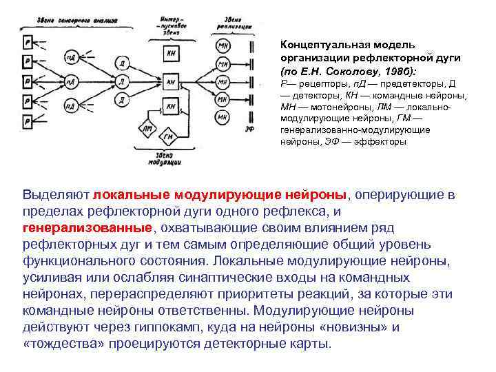       Концептуальная модель      