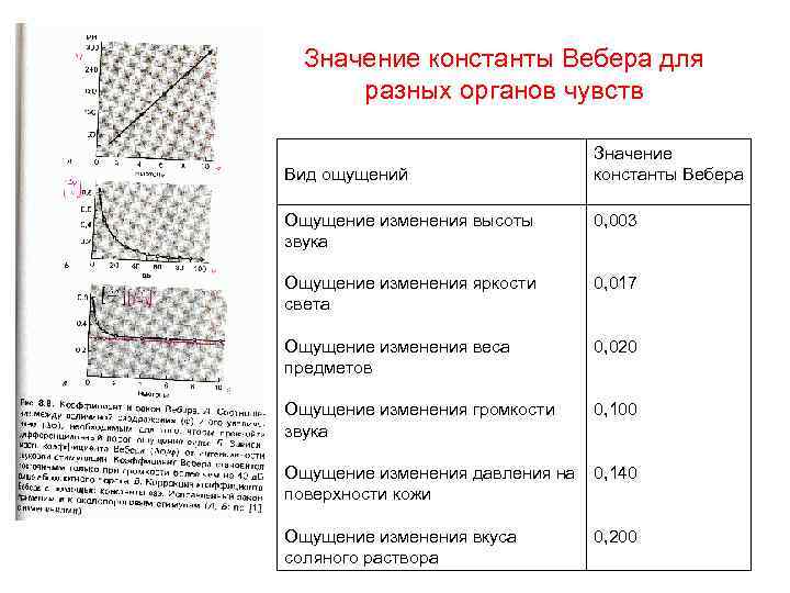 Значение константы Вебера для  разных органов чувств     