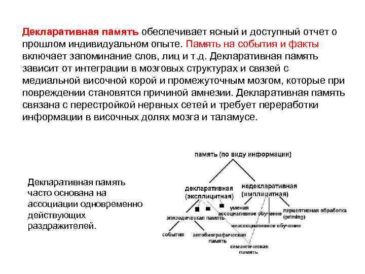 Декларативная память обеспечивает ясный и доступный отчет о прошлом индивидуальном опыте. Память на события