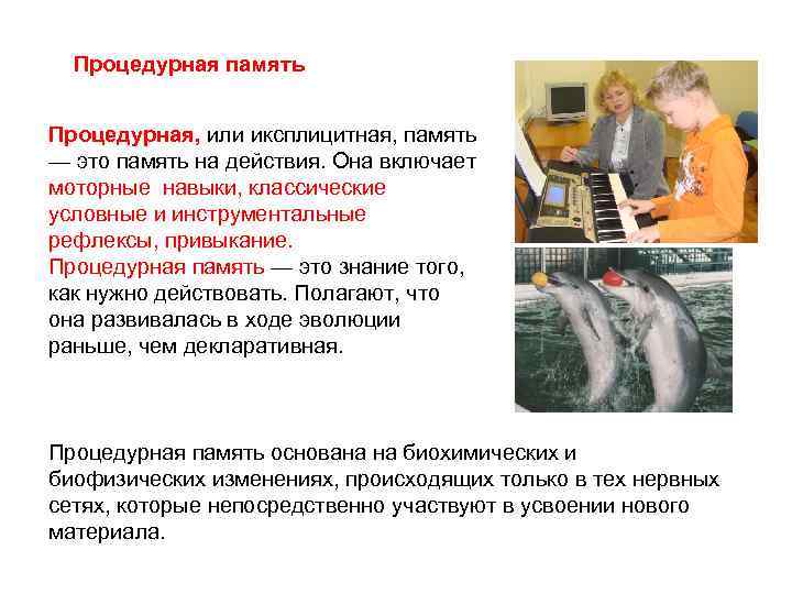  Процедурная память  Процедурная, или иксплицитная, память — это память на действия. Она