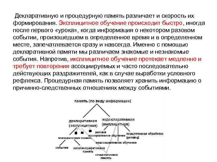 Процедурная и декларативная память презентация