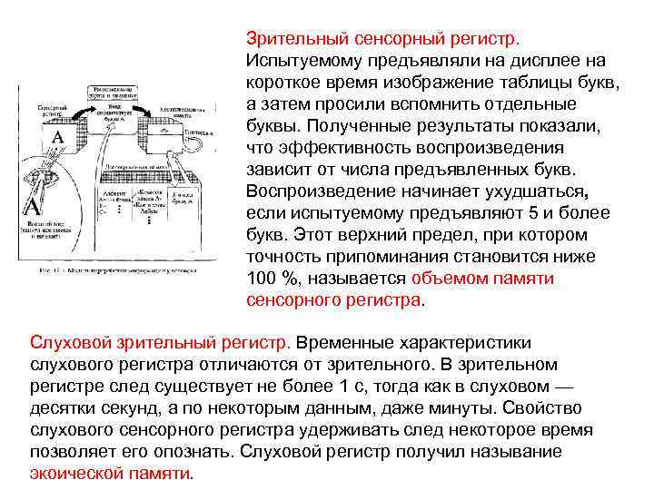    Зрительный сенсорный регистр.     Испытуемому предъявляли на