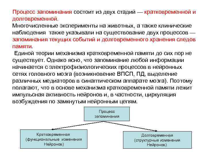 Процесс запоминания информации