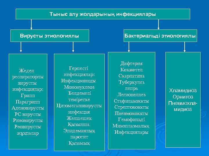 Тыныс алу аурулары