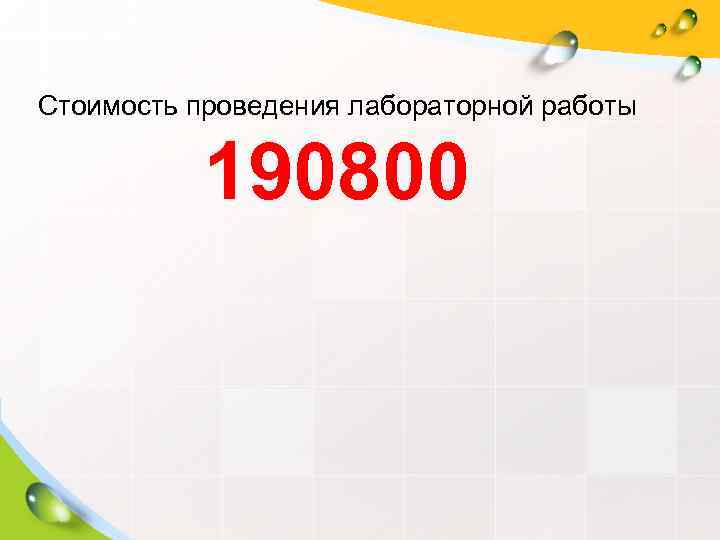 Стоимость проведения лабораторной работы   190800 