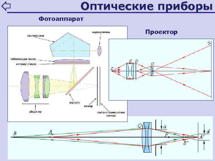   Оптические приборы Фотоаппарат    Проектор 