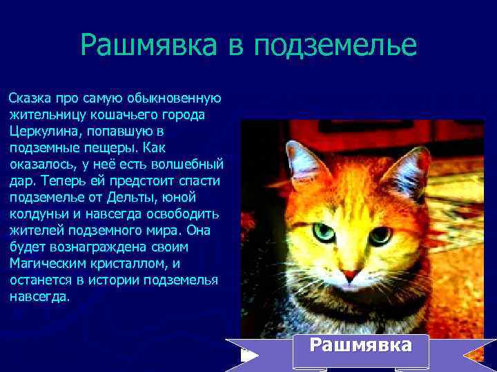    Рашмявка в подземелье Сказка про самую обыкновенную жительницу кошачьего города Церкулина,