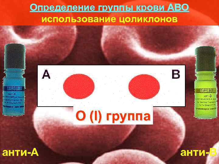   Определение группы крови АВО  использование цоликлонов    О (I)