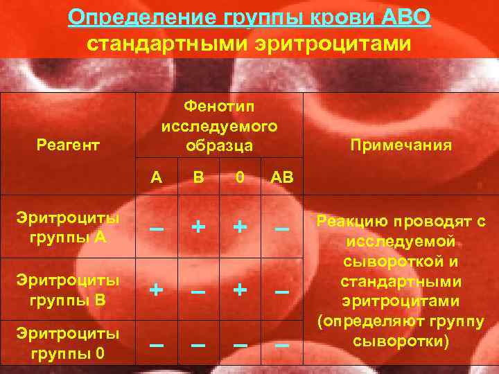  Определение группы крови АВО  стандартными эритроцитами   Фенотип   исследуемого
